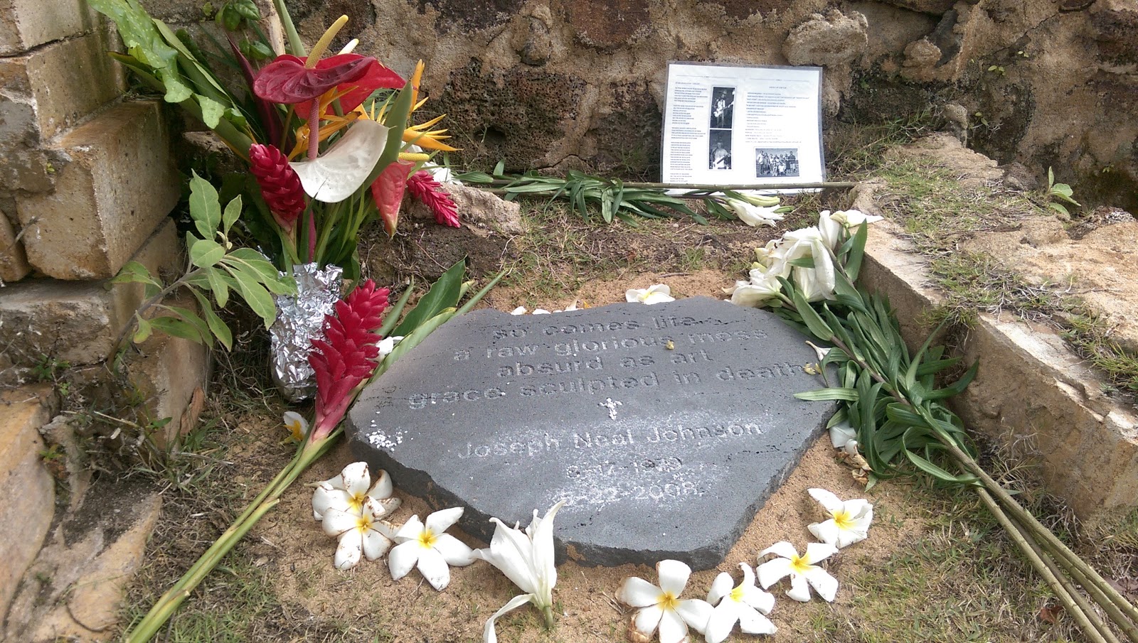 From Paradise to Plan B