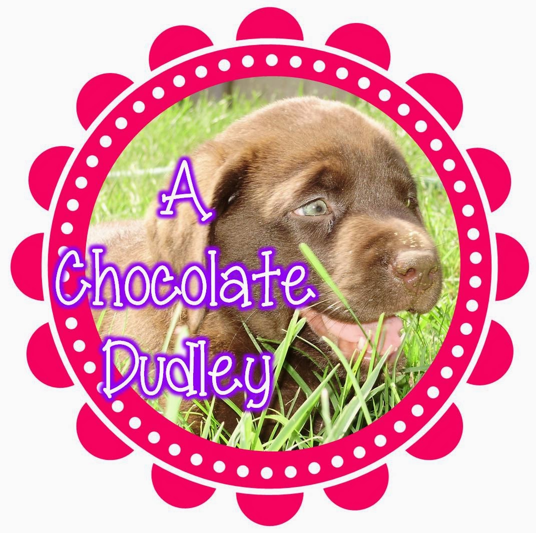 A Chocolate Dudley on TpT
