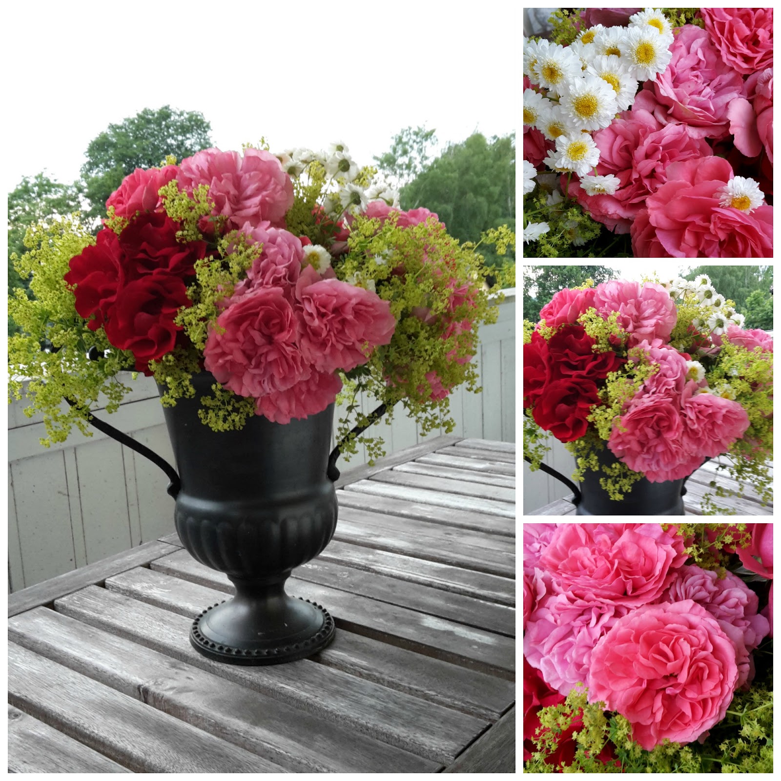 Kochfrosch Januar 2014