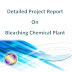 Project Report on Bleaching Chemical Plant