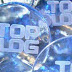 Prêmio TopBlog Brasil 2013 dá inicio as votações