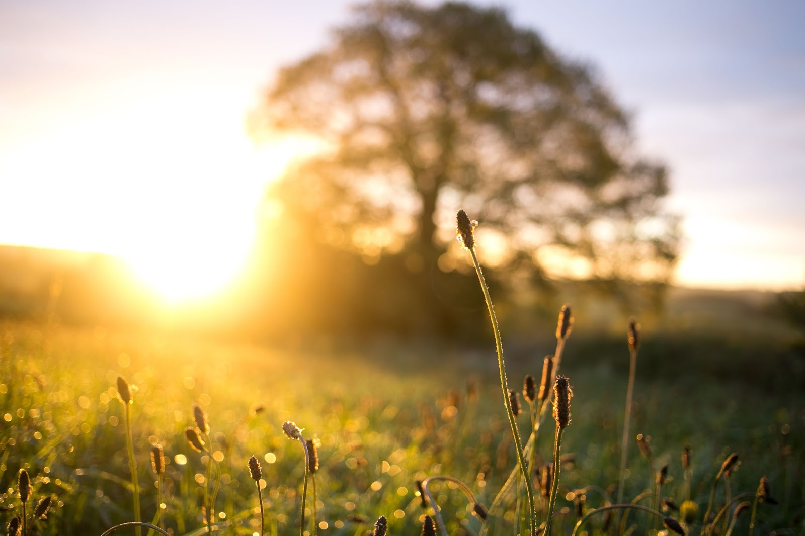 ©Katiewrites.co.uk Belper, Sunrise, Derbyshire, Katie Writes,