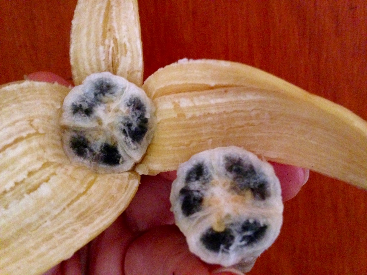 Learning to Live Peace Continuing a Sri Lankan tradition Bananas!