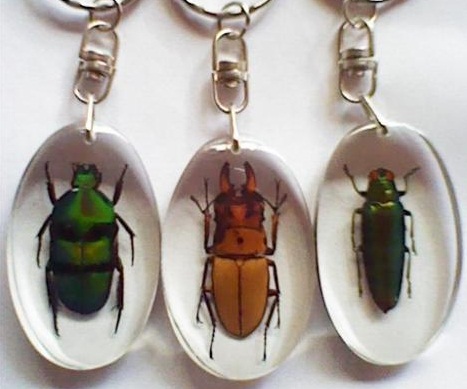 Enterpreneur Mei 2017