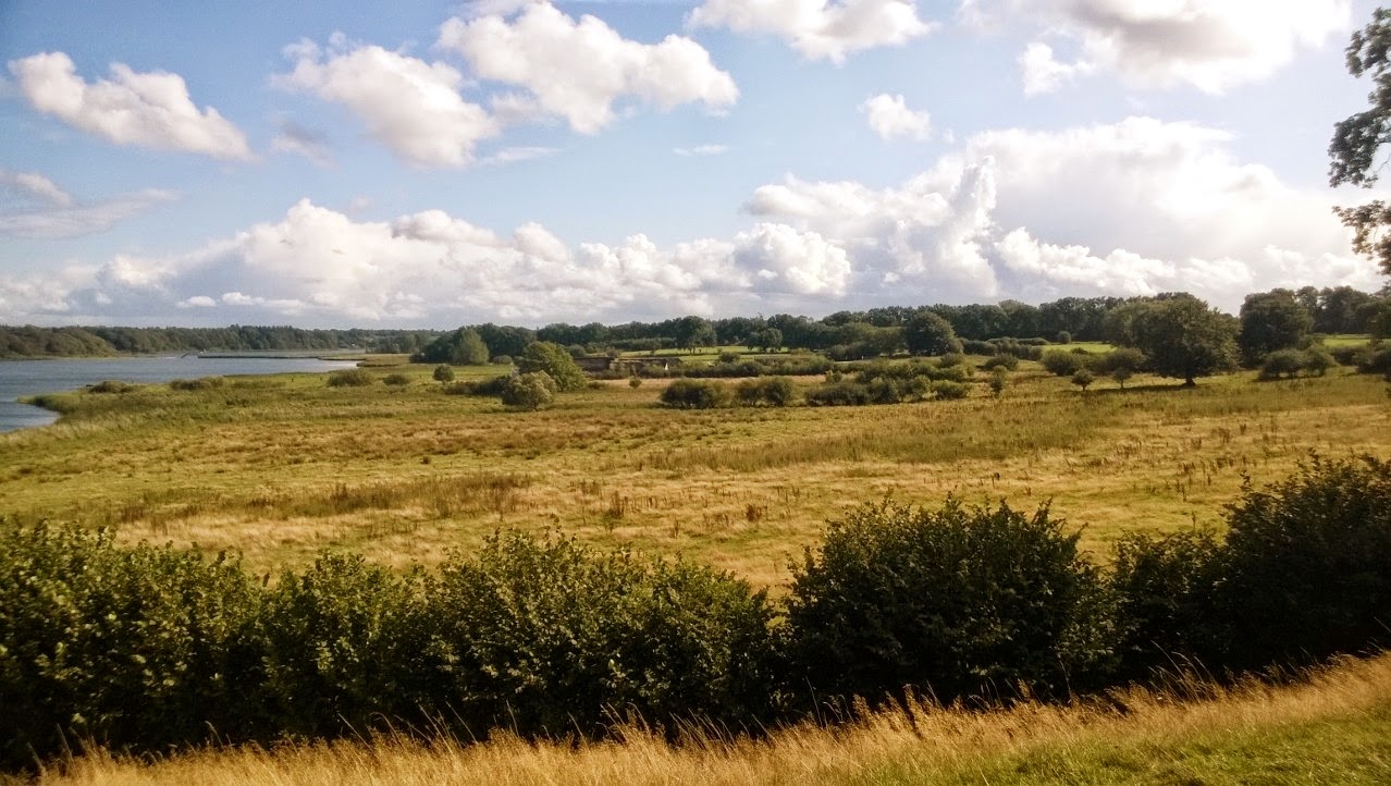 green maren: August 2014