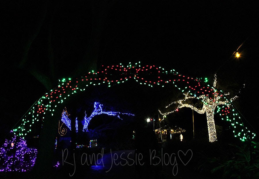 Sunday Snapshot Zoo lights at the Jacksonville zoo