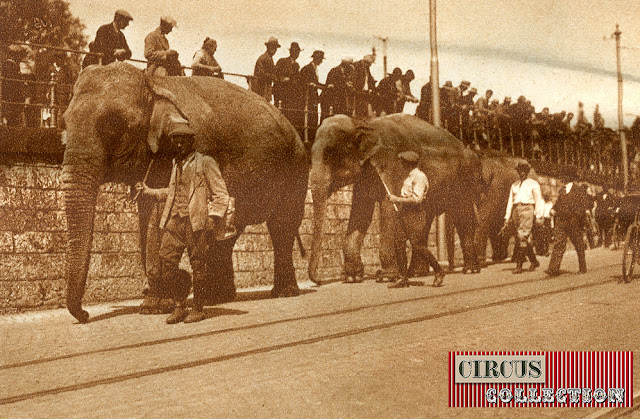trajet des éléphant  entre la gare et la place du cirque