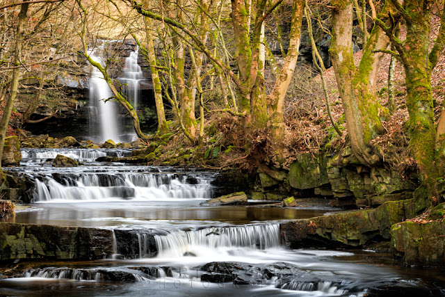 Woodland stream cascades past the trees below Summerhill Force in the Pennines