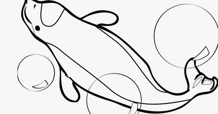 Beluga whale coloring page | Free Coloring Pages and Coloring Books for