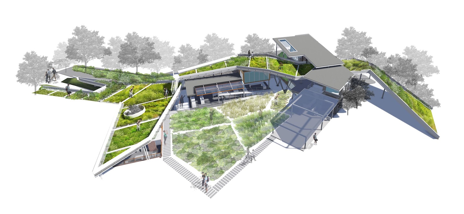 Jie Ying's Portfolio Urban Agriculture Center