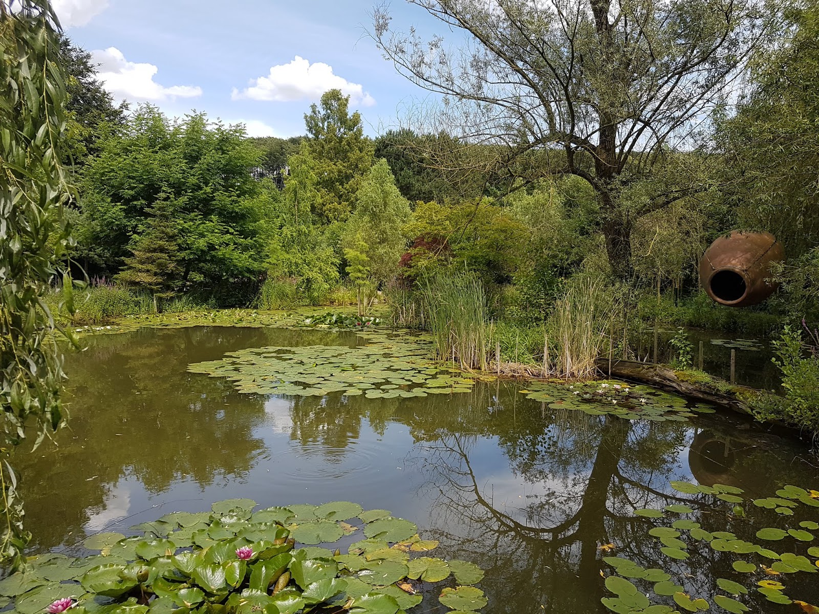 Der Wasserpark in Währentrup