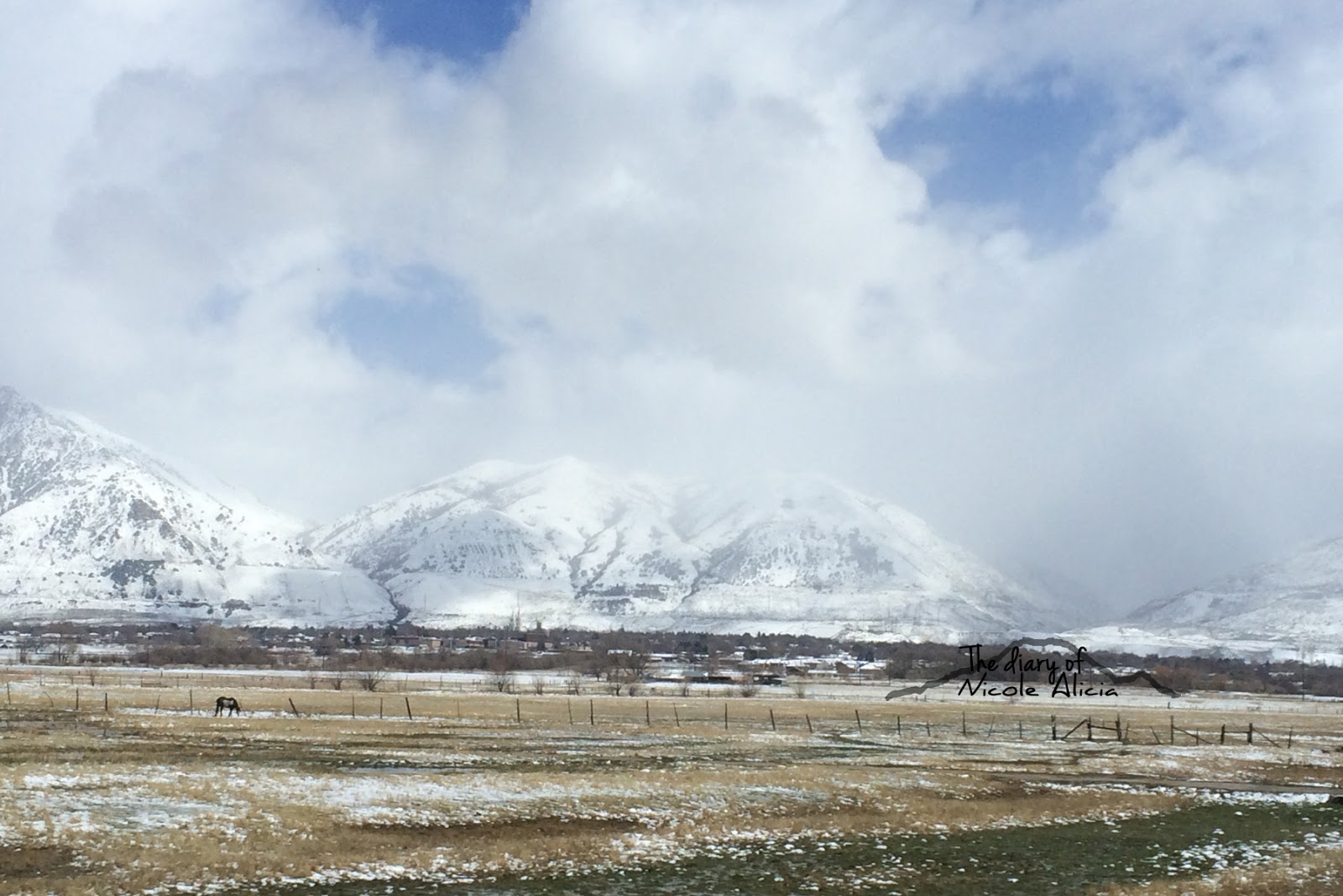 The Diary of Nicole Alicia Salt Lake City Trip & Ikea Haul