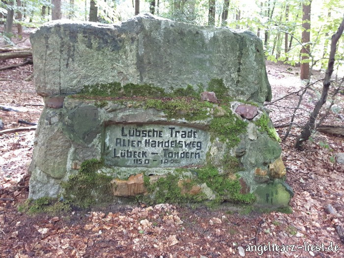 Handelsweg im Naturpark Aukrug - Schleswig-Holstein Handelsweg im Naturpark Aukrug - Schleswig-Holstein