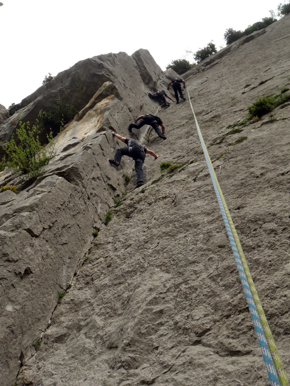 Errances Verticales Oloronaises La Mâture Lopo / Fleur