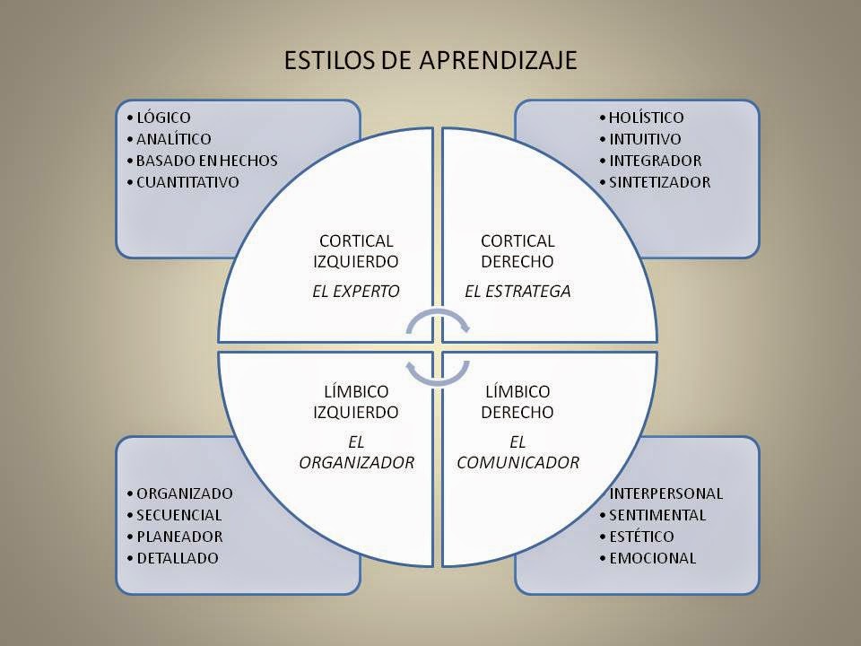 ESTILOS DE APRENDIZAJE: EL MODELO DE LOS CUADRANTES CEREBRALES