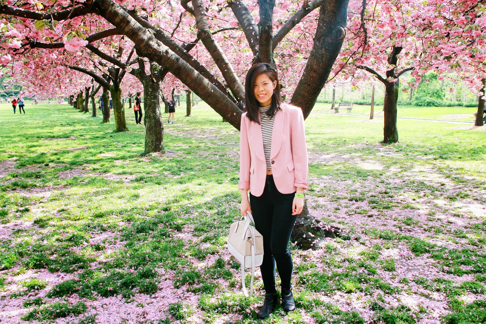 The district of columbia cherry blossoms engagement photos