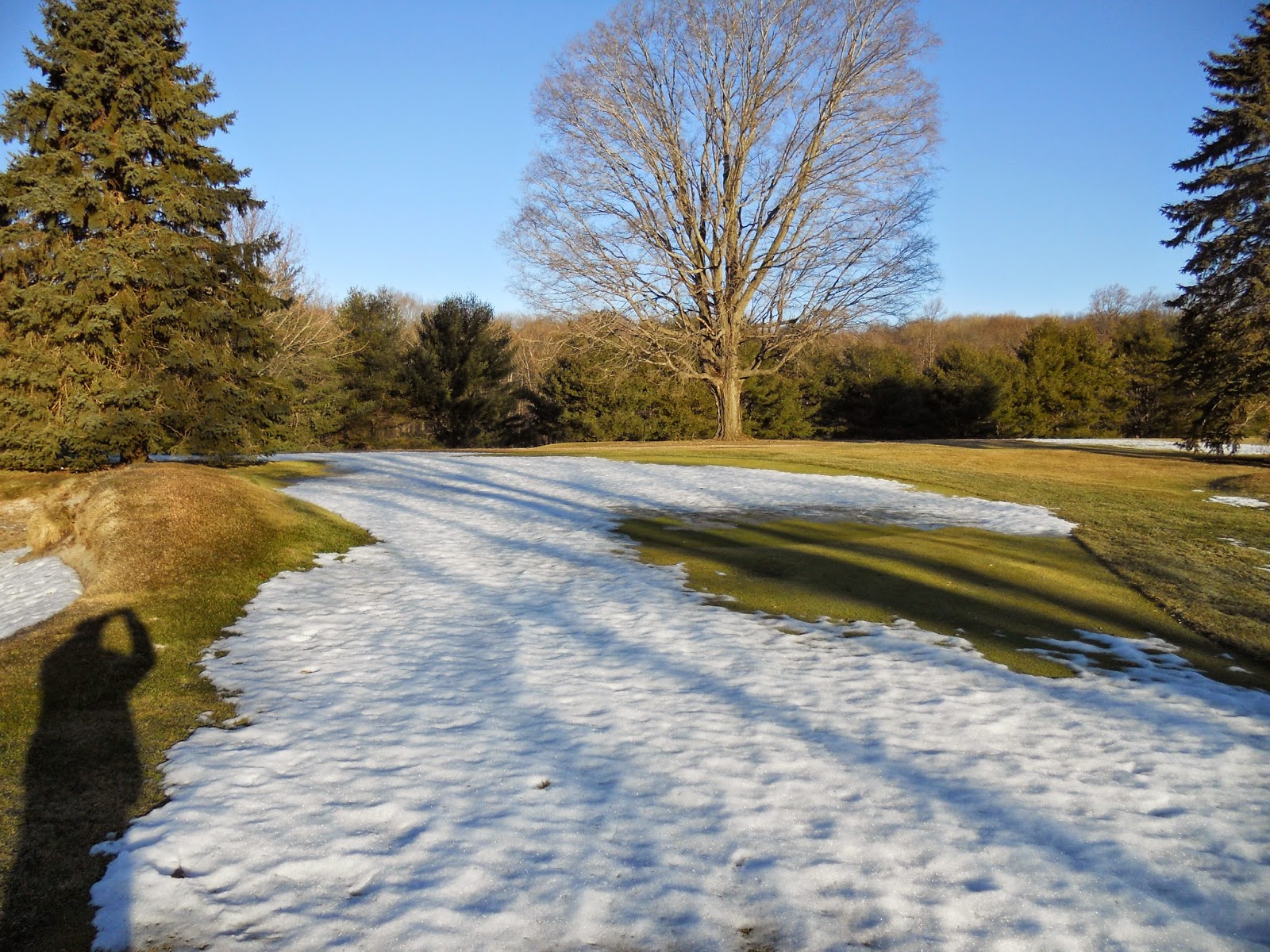 Mahopac Golf & Beach Club Greens Department