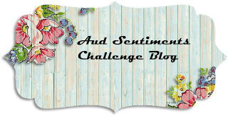 Aud Sentiments Challenge Blog