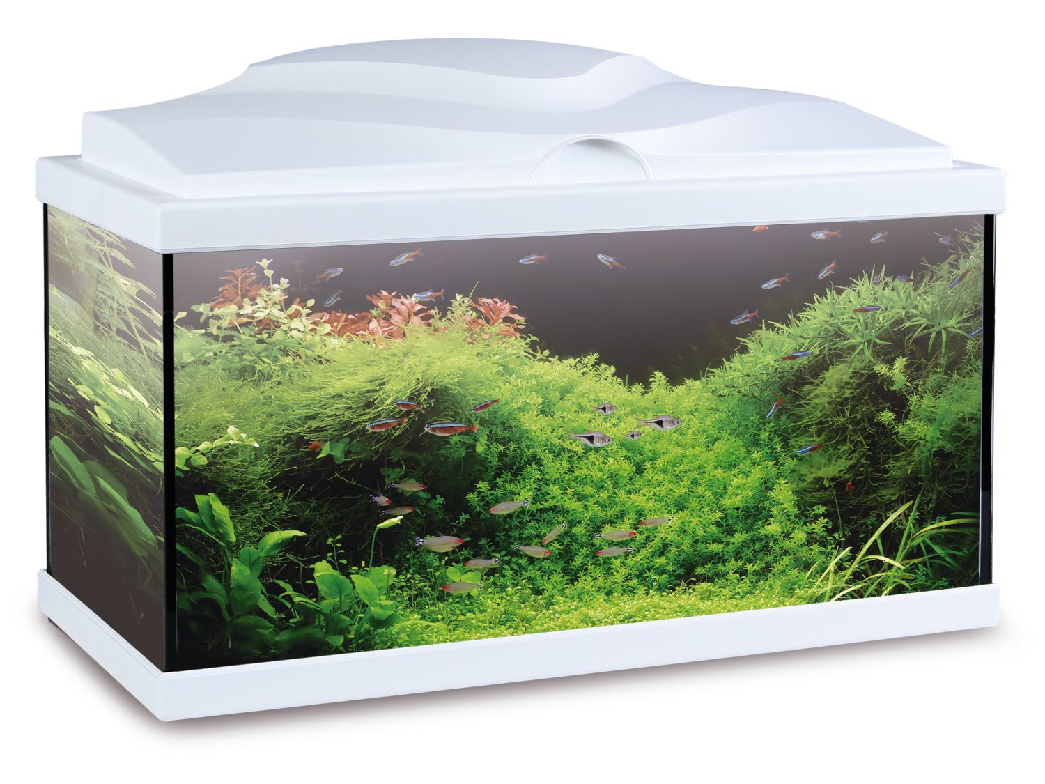 биодизайн альтум 700. аквариум juwel vision 450 led темное дерево. фирмы аквариумов. аквариум биодизайн риф 110 белый. аквариум биодизайн атолл 650.