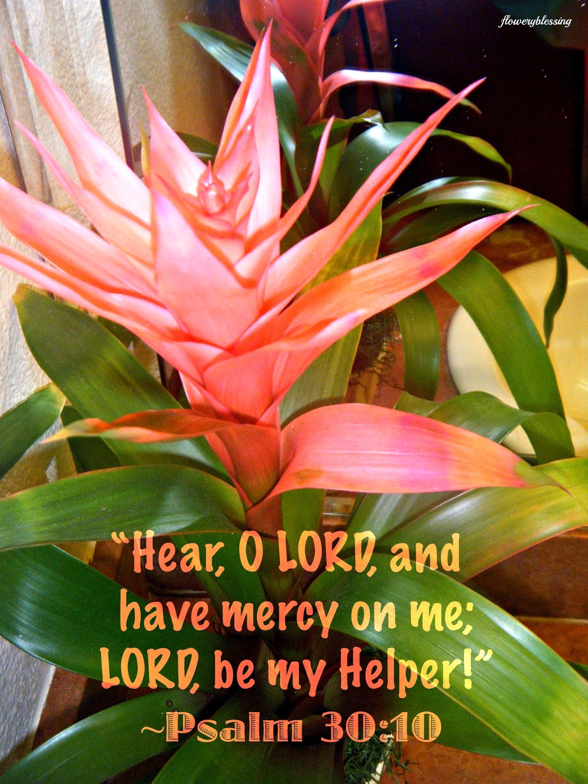 Flowery Blessing Hear O LORD And Have Mercy On Me LORD Be My Helper PSALM 30 10 NKJV 