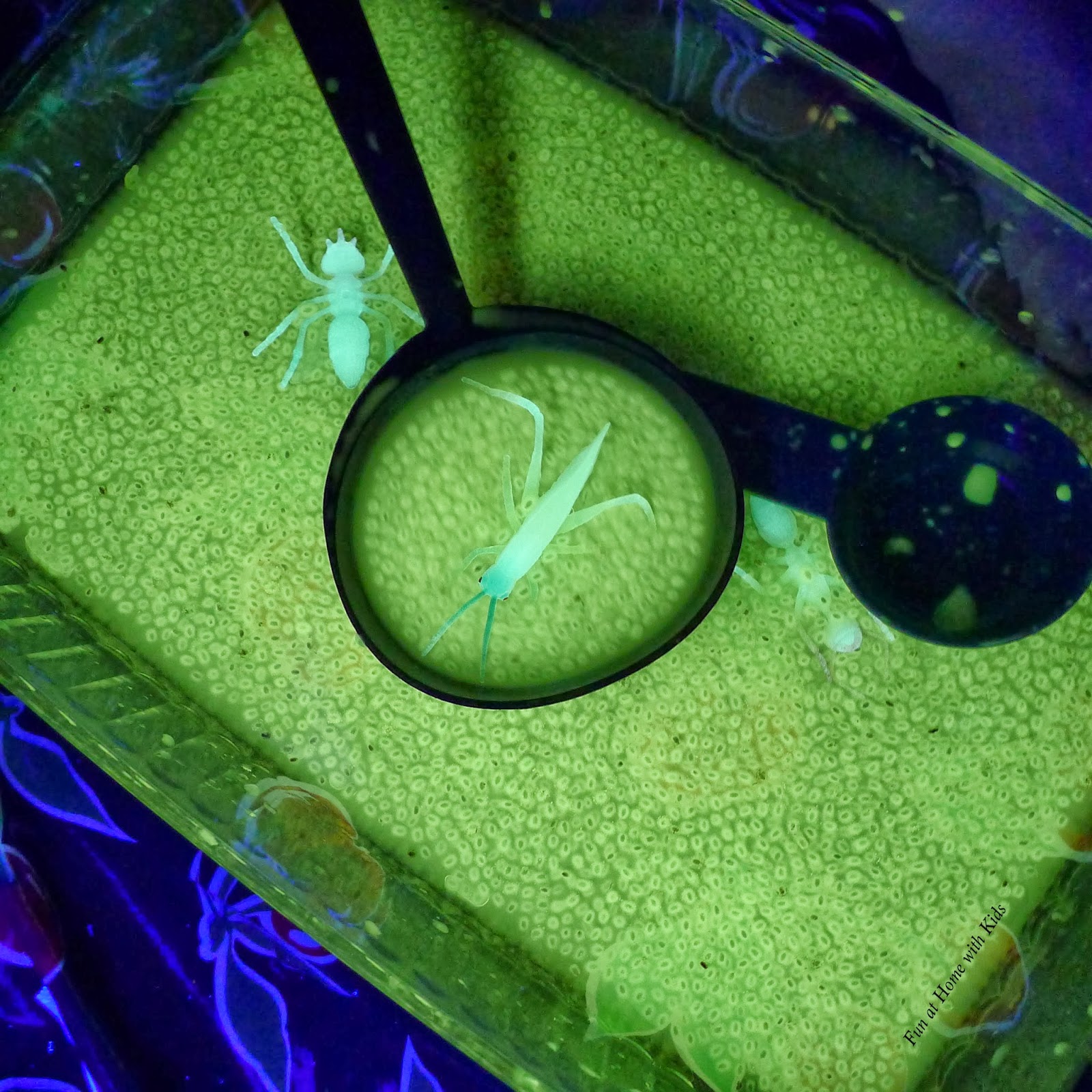 Safe Glowing Edible Mini Water Beads (No Choking Hazard!)