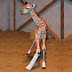 Un bébé girafe est né cette nuit à Bellewaerde Park