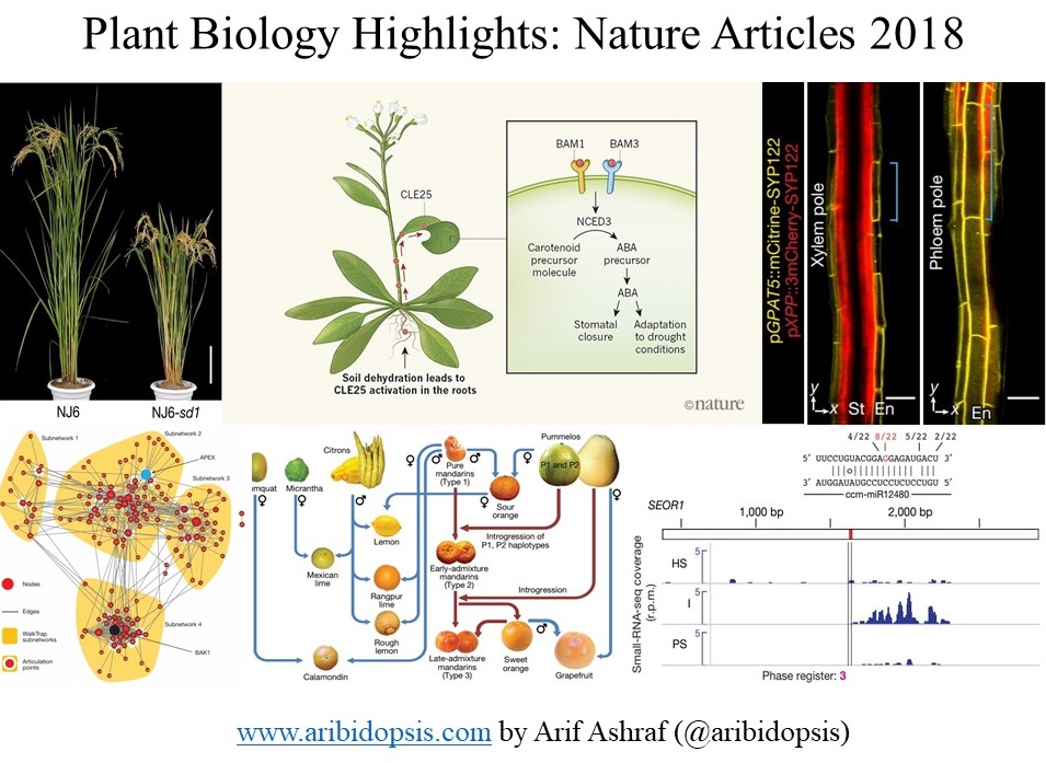 Conducted work. Textles artist. Highlights articles. Coursework in english example. Most popular.