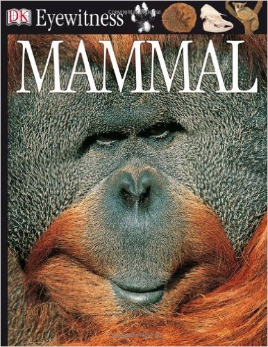 DK Eyewitness Books: Mammal