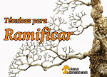 Técnicas para ramificar