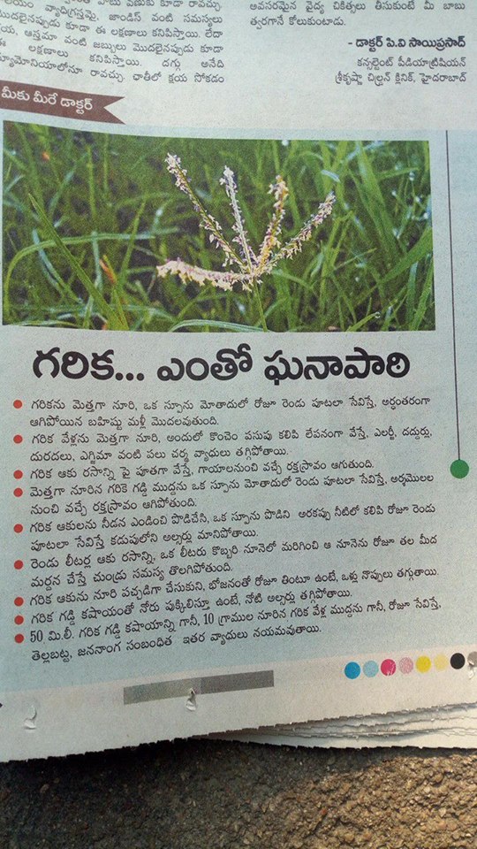 TELUGU WEB WORLD GARIKA GRASS HEALTH BENEFITS GARIKA ENTHO GANAPATI