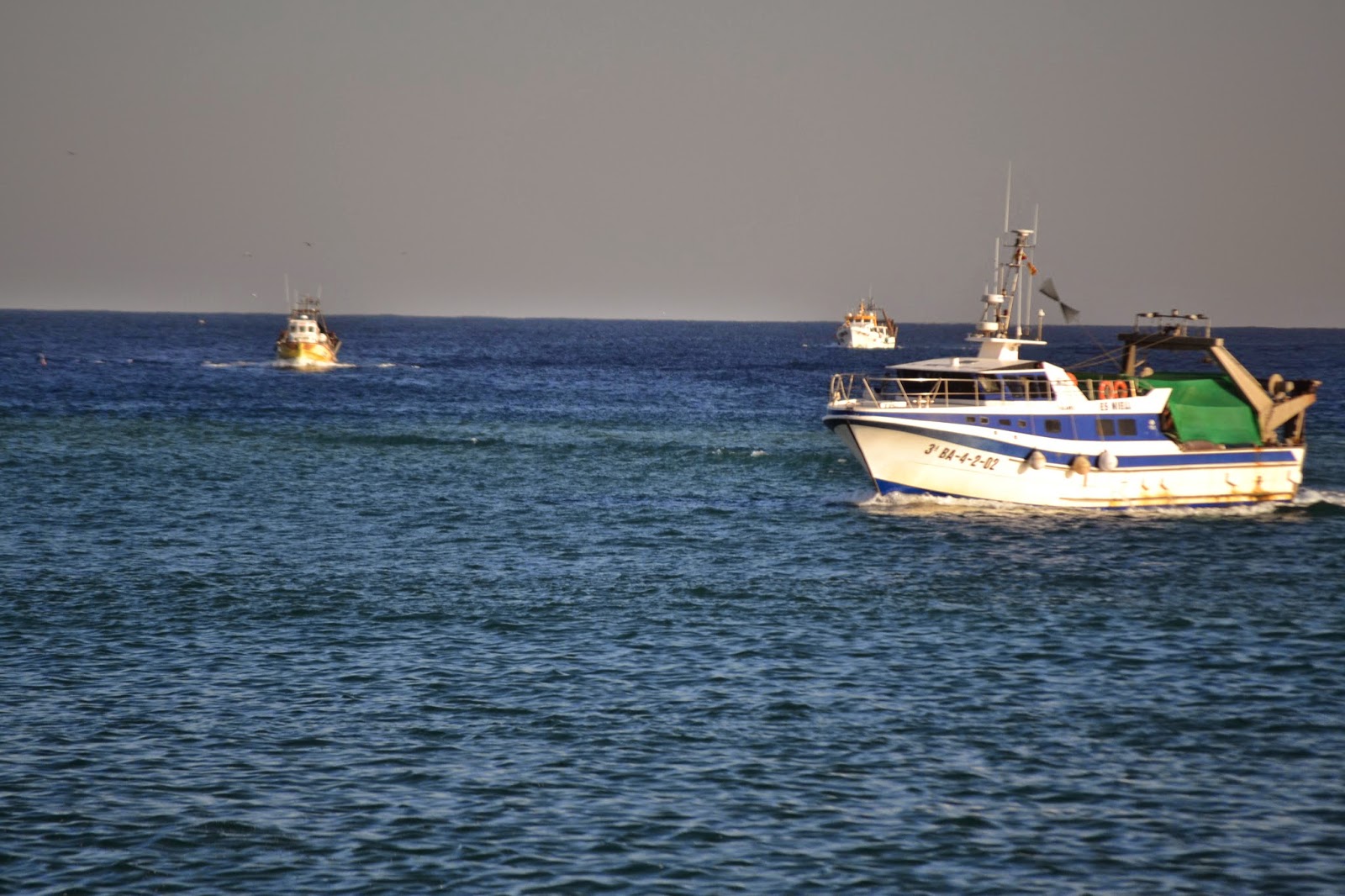 Camino a la resilencia: octubre 2014