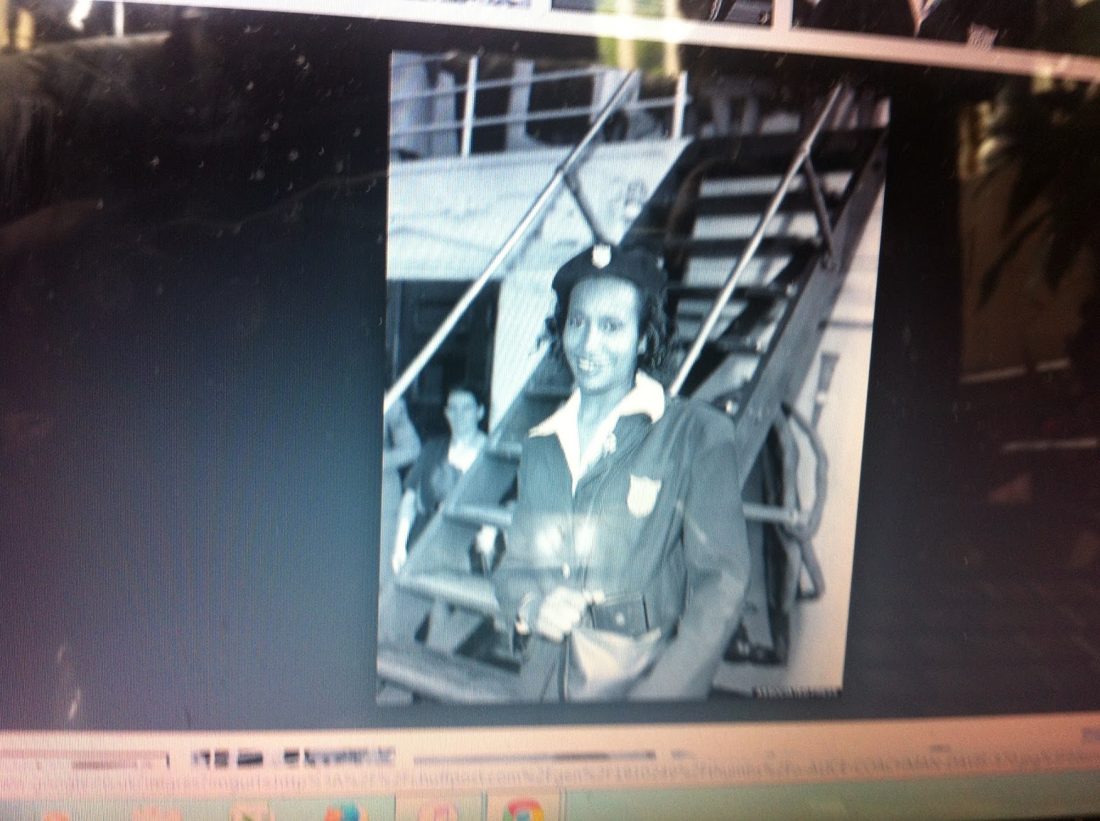 THE BLACK SOCIAL HISTORY:: BLACK SOCIAL HISTORY : AFRICAN AMERICAN