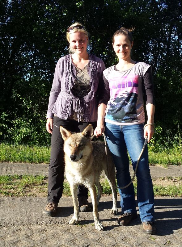 Malteser In Deutschland