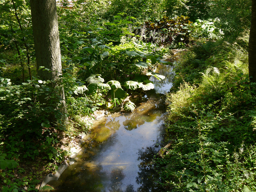 GartenImpressionen NEPALHIMALAYAPAVILLON IN WIESENT