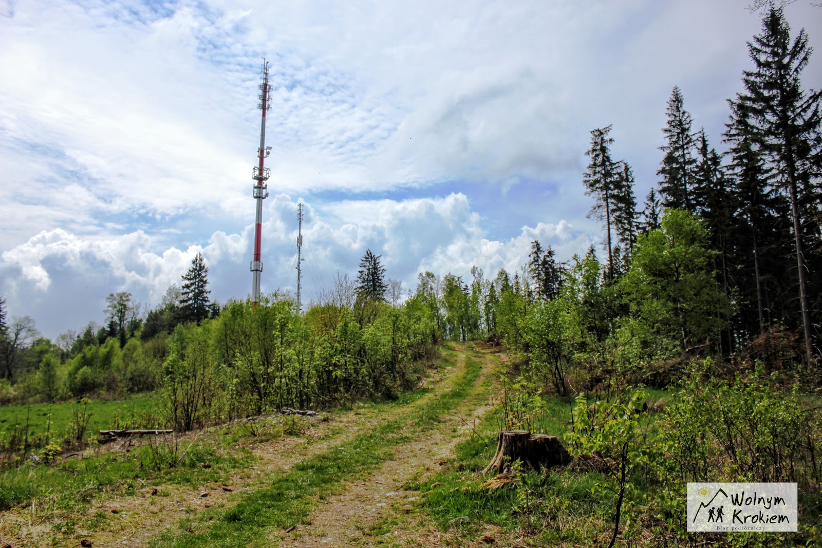 Szlak na Skopiec najwyższą górę w Górach Kaczawskich (KGP) Wolnym