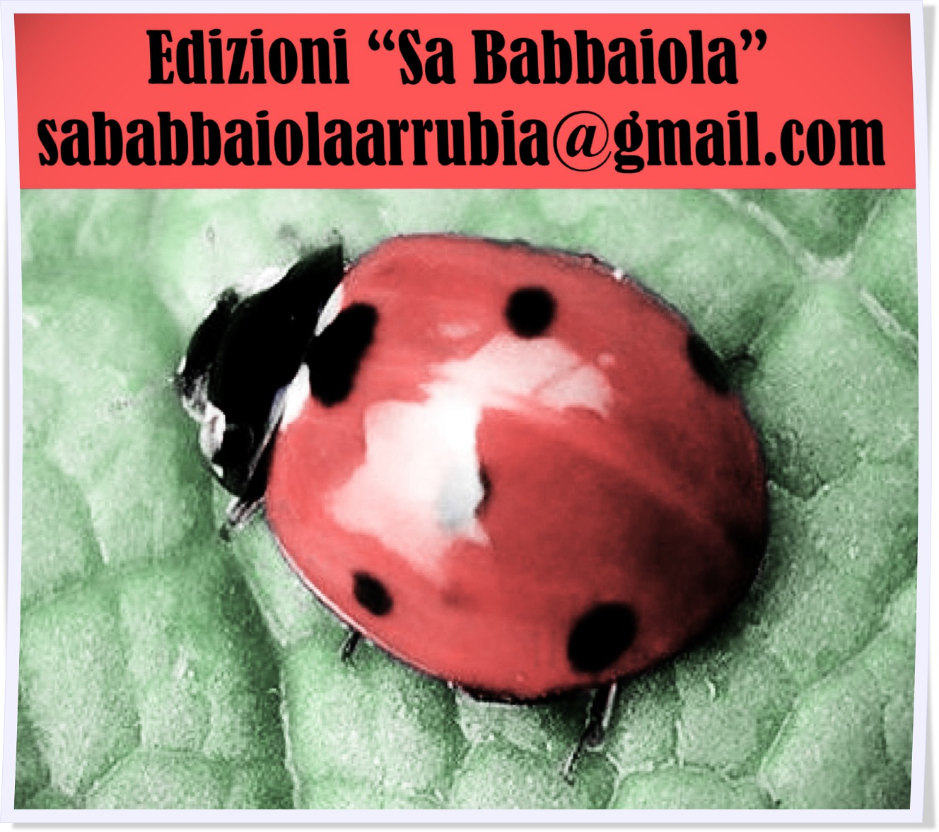 Pagina face book "Sa Babbaiola"