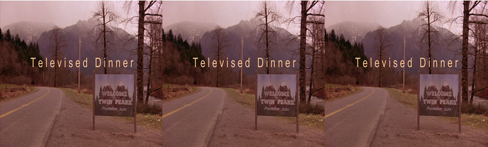 Televised Dinner