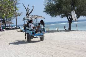 tour lombok, wisata lombok, trip lombok, paket liburan lombok, travel lombok, honeymoon lombok
