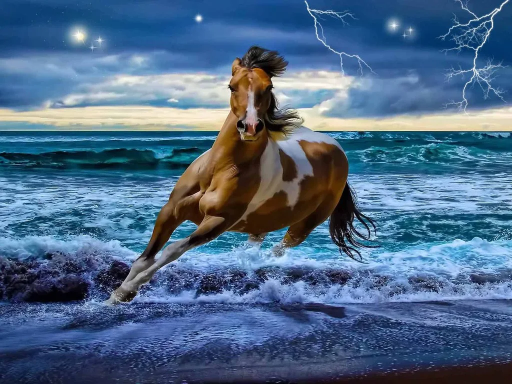  We wish that everything you want is here Cowgirl Wallpapers