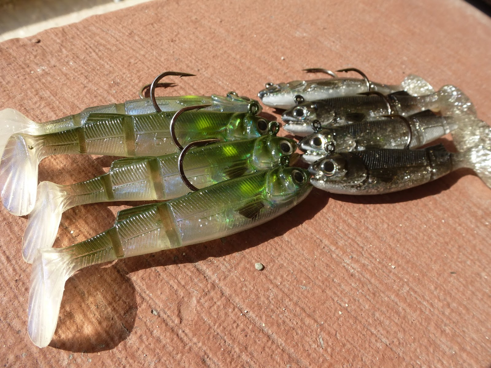 Toms Fishing Blog: New Shad to try.........