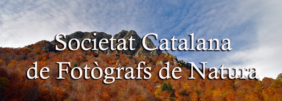 Societat Catalana de Fotògrafs de Natura