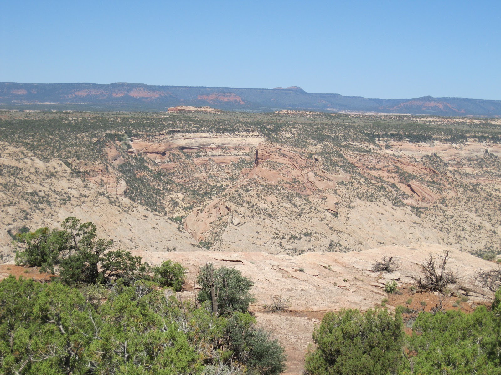 Four Corners Hikes-Cedar Mesa in Utah: Posey’s Trail on Comb Ridge