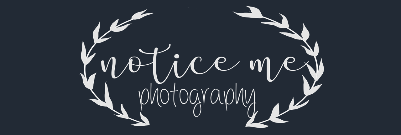 Notice Me Photography