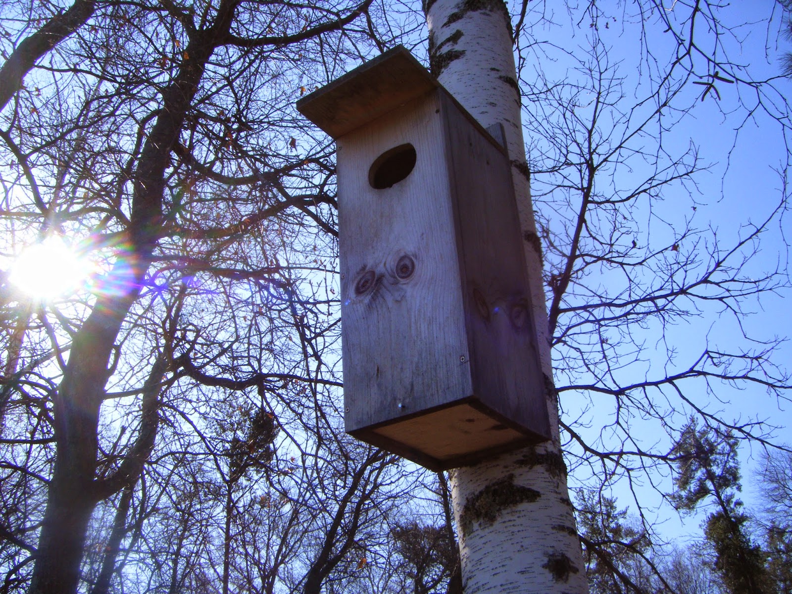 BRADLEY's BLOG Wood Duck Box Pictures and Information