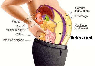 gordura+visceral.jpg