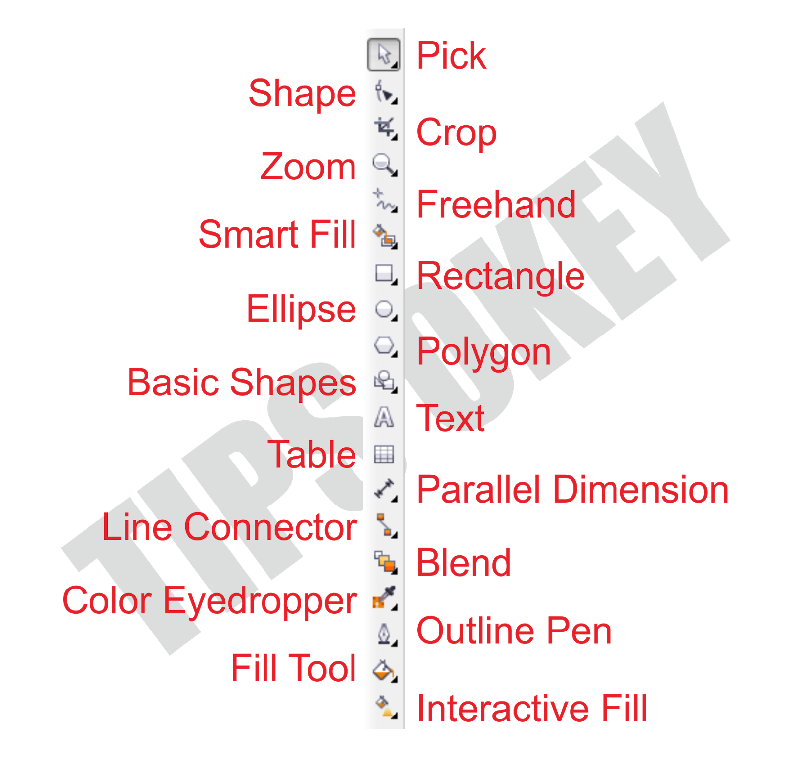 Tutorial Belajar Corel Draw x6 Tutor Graphic