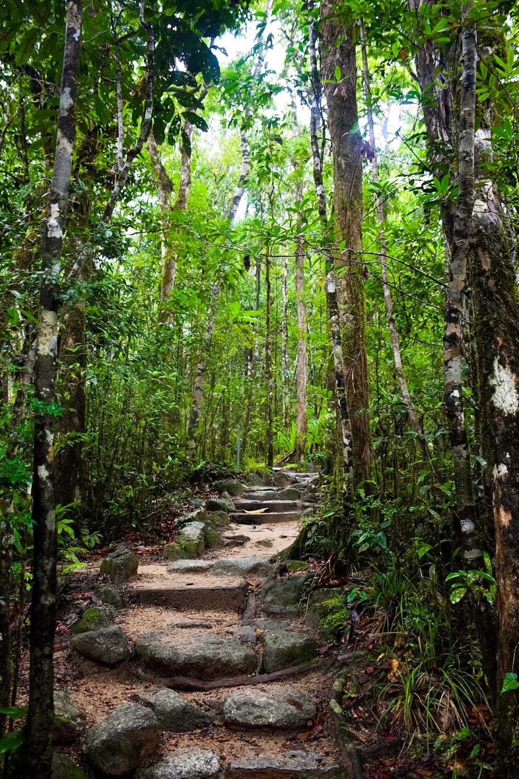 mossman gorge hikes