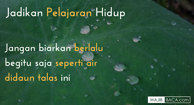 7 Kata Mutiara Imam Syafi I Yang Mengagumkan Untuk Petunjuk Hidup