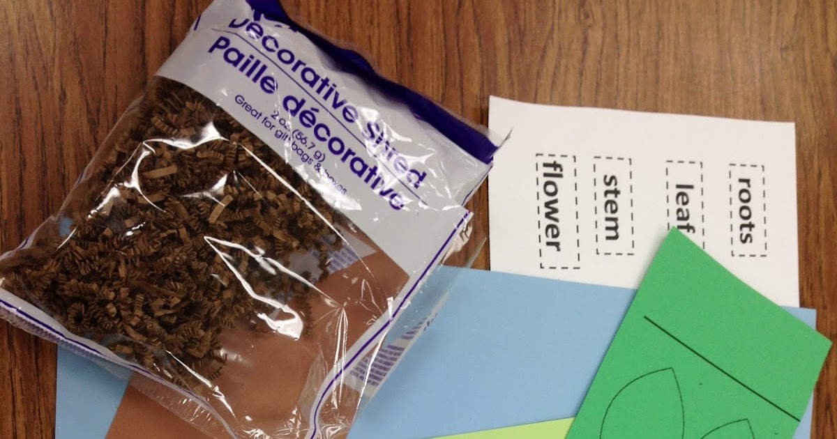 Kindergarten Rocks!: 