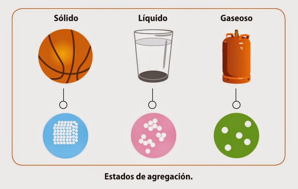 ESTANDAR DE CIENCIAS ESTANDAR DE CIENCIAS